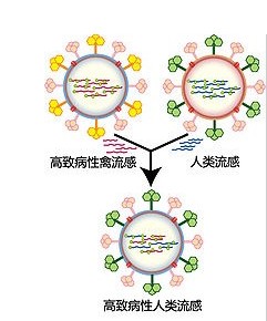 前列腺炎