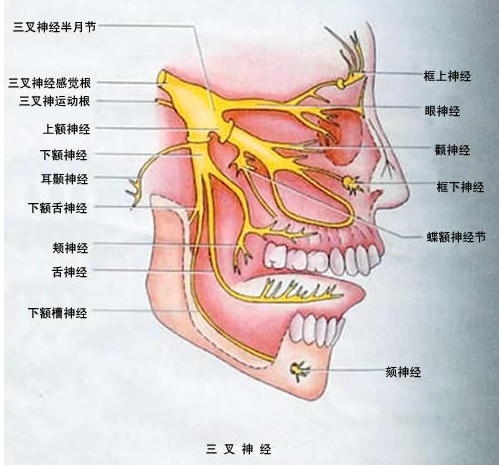 早泄