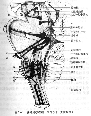 早泄